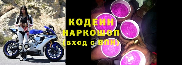 стафф Заводоуковск